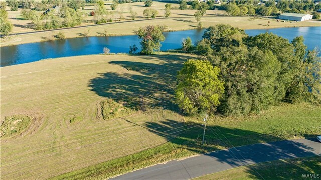 7 Hilltop Ests, Northport, AL 35475 - photo 6