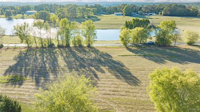 7 Hilltop Ests, Northport, AL 35475 - photo 29