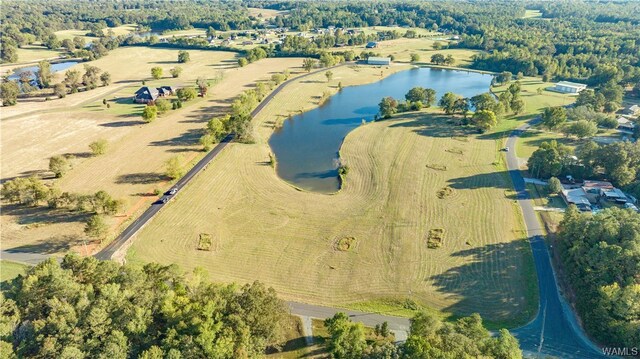 7 Hilltop Ests, Northport, AL 35475 - photo 20
