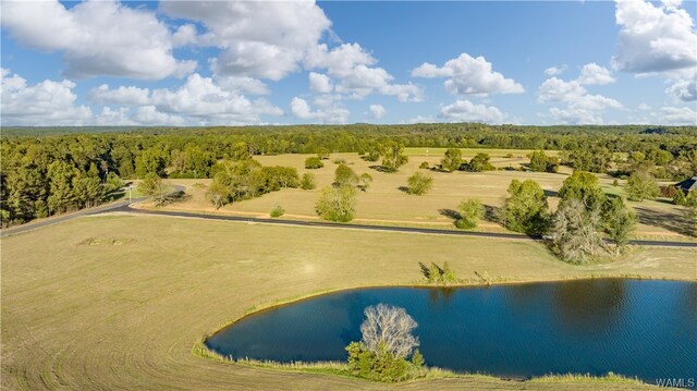 7 Hilltop Ests, Northport, AL 35475 - photo 40
