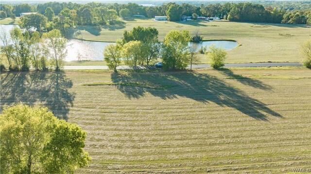7 Hilltop Ests, Northport, AL 35475 - photo 28