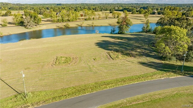 7 Hilltop Ests, Northport, AL 35475 - photo 8