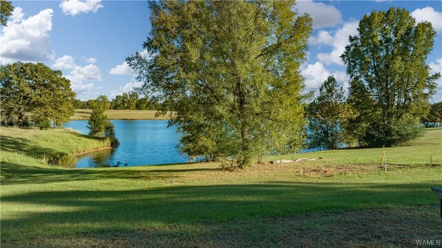 7 Hilltop Ests, Northport, AL 35475 - photo 2