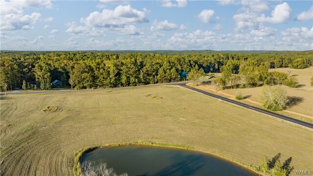 7 Hilltop Ests, Northport, AL 35475 - photo 41