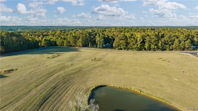 7 Hilltop Ests, Northport, AL 35475 - photo 42