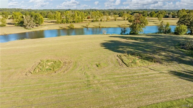 7 Hilltop Ests, Northport, AL 35475 - photo 10