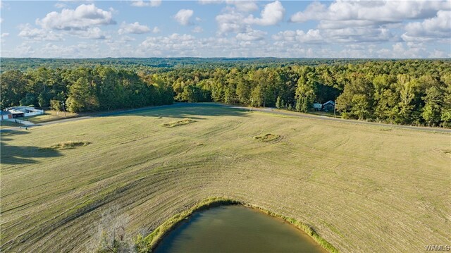 7 Hilltop Ests, Northport, AL 35475 - photo 43