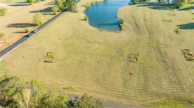 7 Hilltop Ests, Northport, AL 35475 - photo 17