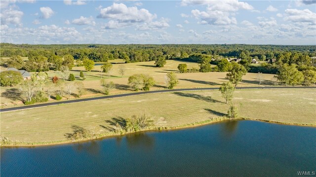7 Hilltop Ests, Northport, AL 35475 - photo 37
