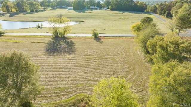7 Hilltop Ests, Northport, AL 35475 - photo 26