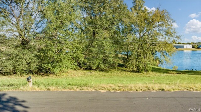 7 Hilltop Ests, Northport, AL 35475 - photo 4
