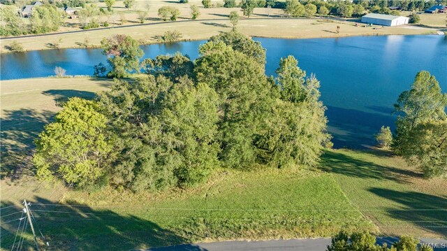 7 Hilltop Ests, Northport, AL 35475 - photo 5