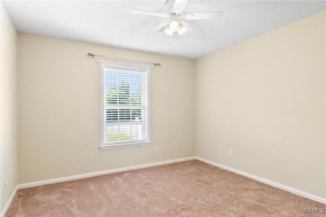 1417 Plantation Ln, Tuscaloosa, AL 35405 - photo 26