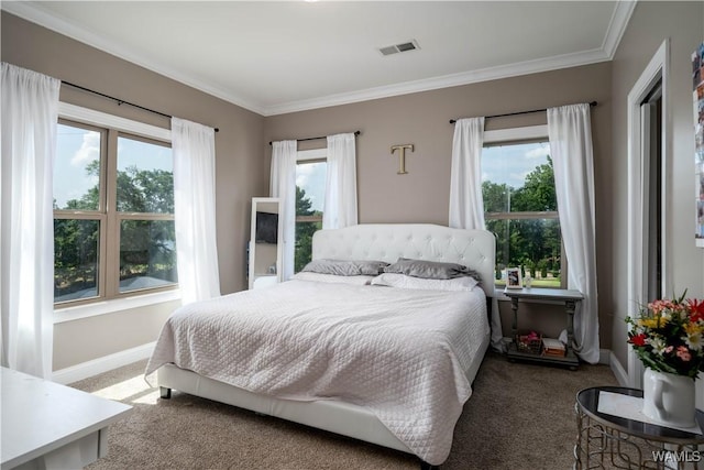 12030 Orlea Ln, Northport, AL 35475 - bedroom featuring carpet, crown molding, multiple windows, and baseboards