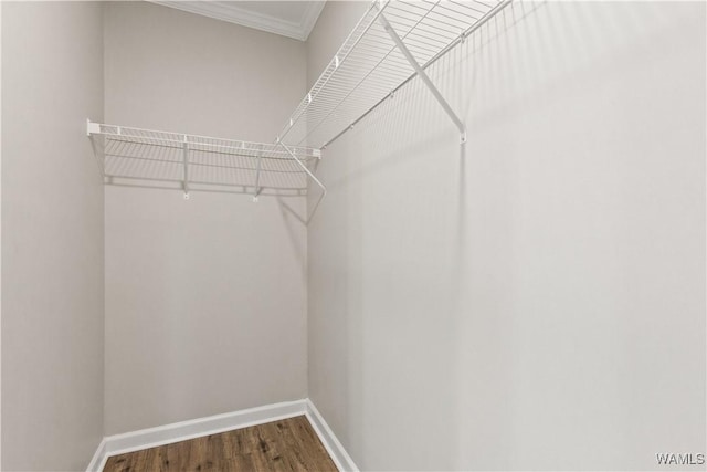 3904 Springhill Dr, Tuscaloosa, AL 35405 - photo 21