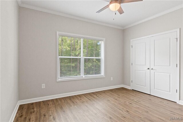 3904 Springhill Dr, Tuscaloosa, AL 35405 - photo 22