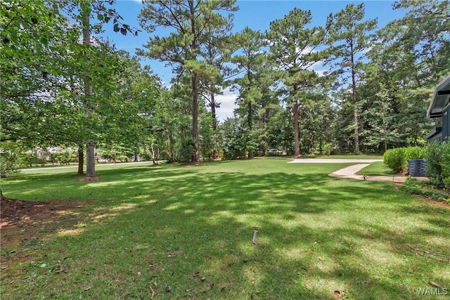 44 Cherokee Hls, Tuscaloosa, AL 35404 - photo 6