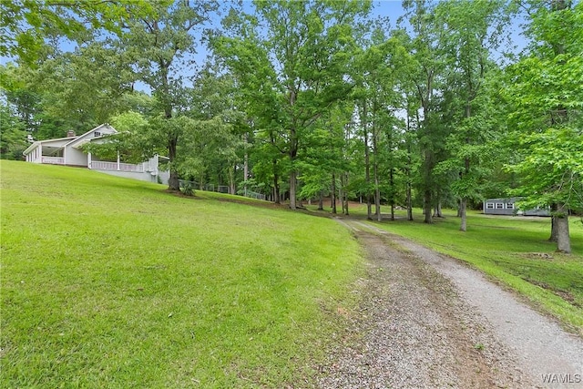 10884 W Manor Dr, Cottondale, AL 35453 - photo 34