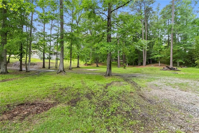 10884 W Manor Dr, Cottondale, AL 35453 - photo 36