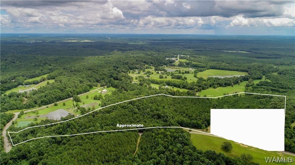 0 Abernathy Rd, Fosters, AL 35463 - photo 1