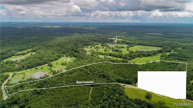 0 Abernathy Rd, Fosters, AL 35463 - photo 1