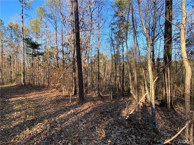 0 Brown Rd, Northport, AL 35475 - photo 7