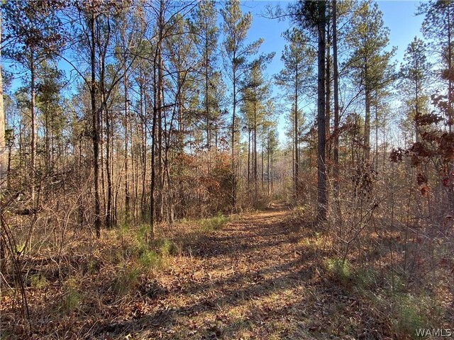 0 Brown Rd, Northport, AL 35475 - photo 8