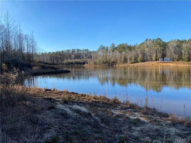 0 Brown Rd, Northport, AL 35475 - photo 1