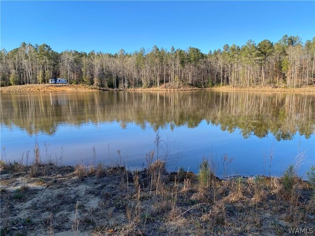 0 Brown Rd, Northport, AL 35475 - photo 2