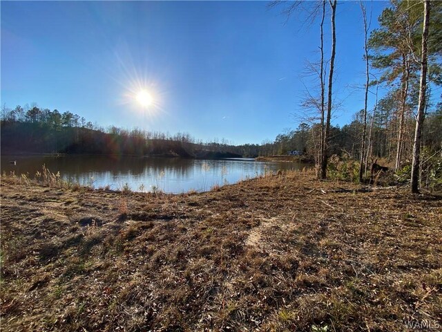 0 Brown Rd, Northport, AL 35475 - photo 4