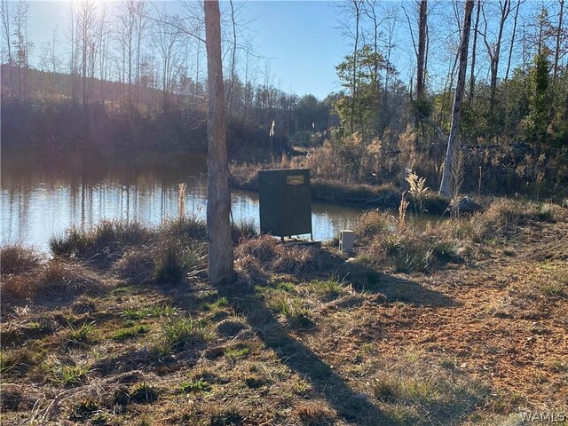 0 Brown Rd, Northport, AL 35475 - photo 9
