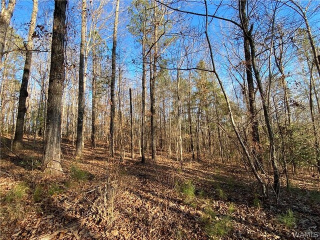0 Brown Rd, Northport, AL 35475 - photo 6