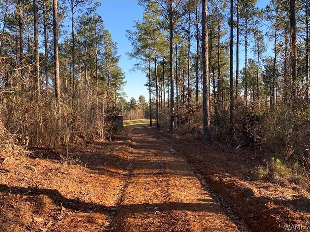 0 Brown Rd, Northport, AL 35475 - photo 14