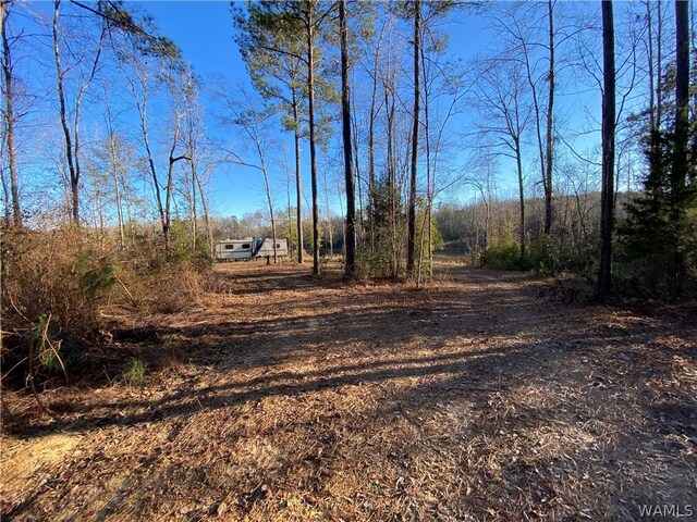 0 Brown Rd, Northport, AL 35475 - photo 10
