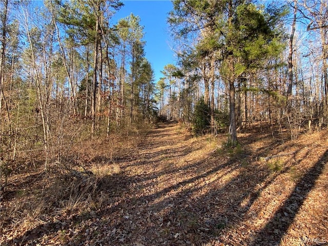 0 Brown Rd, Northport, AL 35475 - photo 5