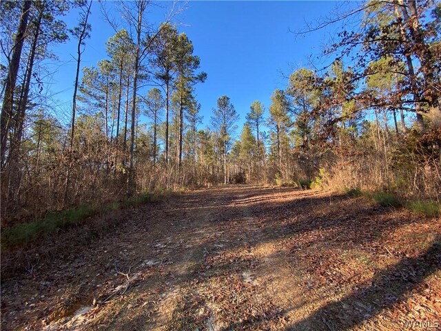 0 Brown Rd, Northport, AL 35475 - photo 11