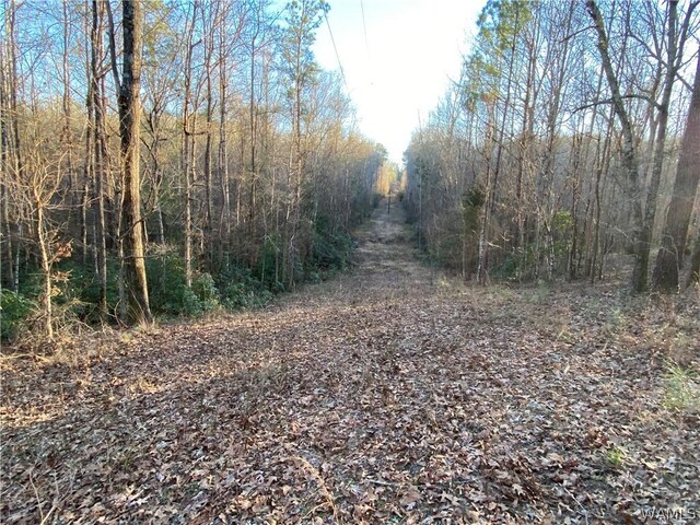 0 Brown Rd, Northport, AL 35475 - photo 15
