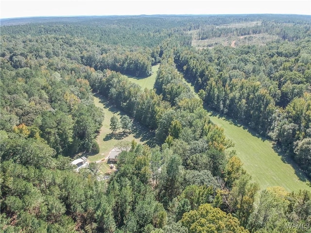 5671 County Road 220, Knoxville, AL 35469 - aerial view of property and surrounding area featuring a heavily wooded area