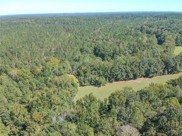 bird's eye view