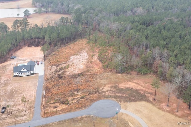 14548 Jackson Trace Farms, Coker, AL 35452 - photo 5