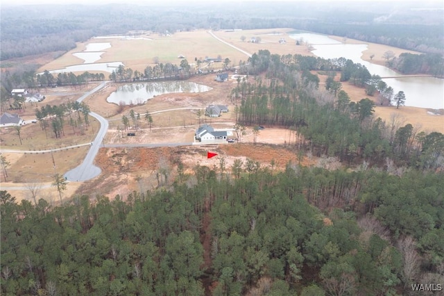 14548 Jackson Trace Farms, Coker, AL 35452 - photo 9