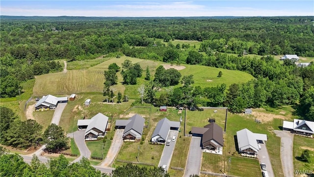 12625 Northside Rd, Northport, AL 35475 - aerial view of property and surrounding area featuring a forest