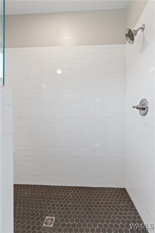 12625 Northside Rd, Northport, AL 35475 - full bath featuring tiled shower