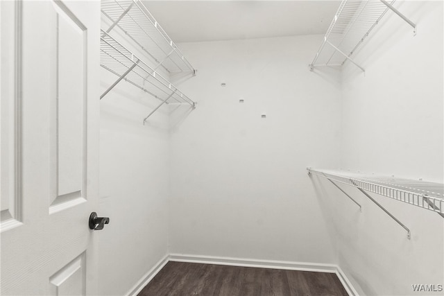 walk in closet featuring dark hardwood / wood-style floors