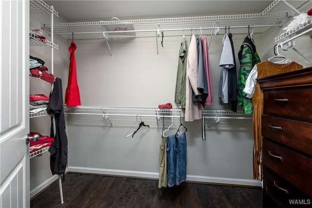 1617 Hamilton Ln, Tuscaloosa, AL 35404 - photo 23