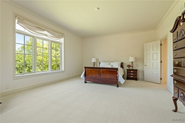 9700 Old Watermelon Rd, Tuscaloosa, AL 35406 - photo 60