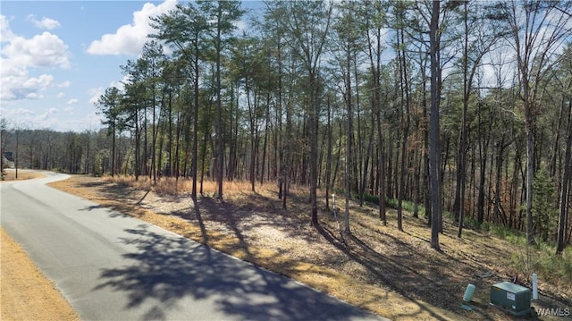 Listing photo 2 for 14180 Watercolor Dr, Northport AL 35475