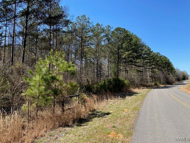 Listing photo 3 for 0 Vic Green Rd, Northport AL 35475