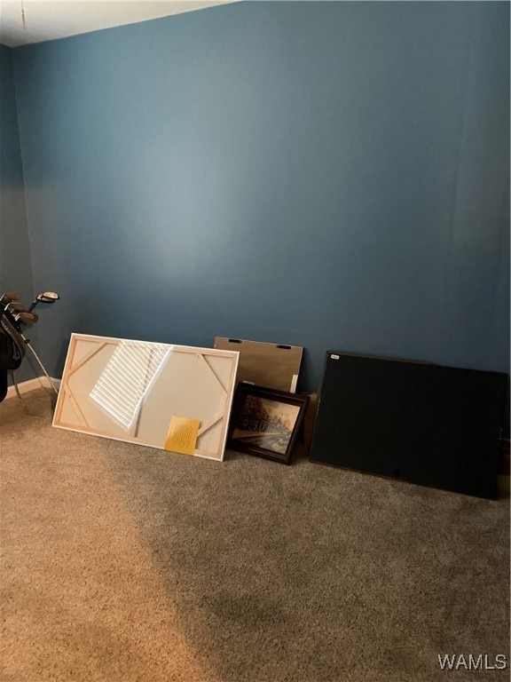 bedroom featuring carpet flooring