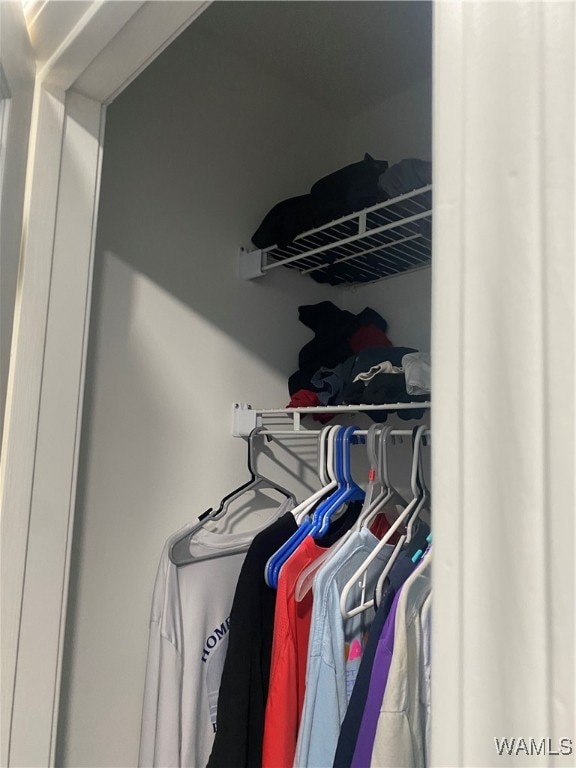 view of closet